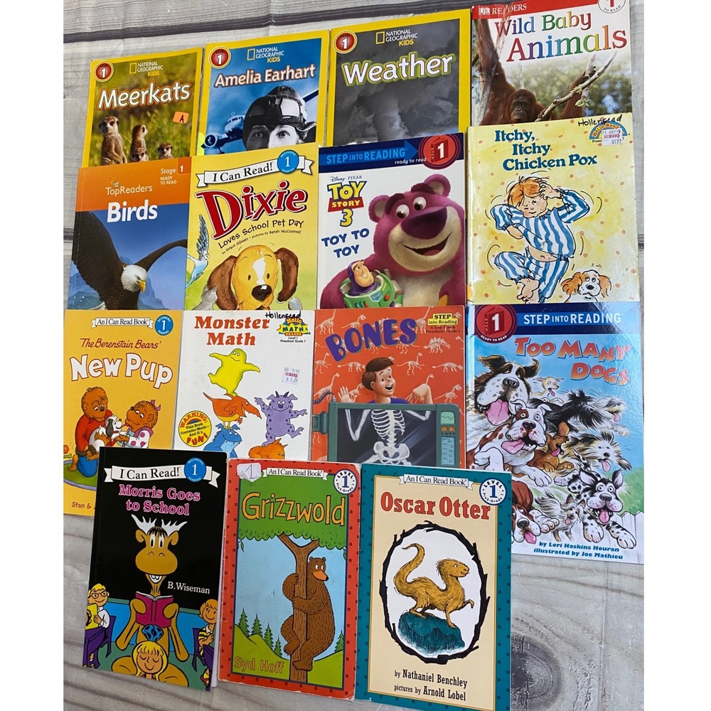 15 Early Reader Books Lot Level 1 I Can Read Step into Reading Berenstain Bears